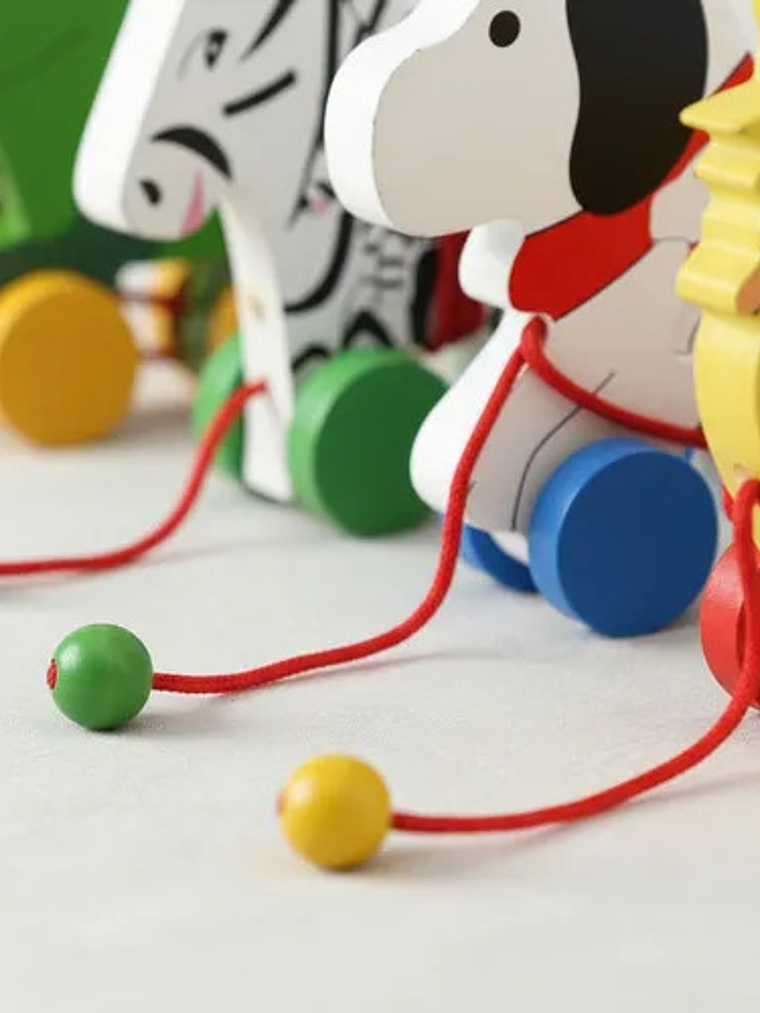 Juguete De Arrastre Diseñados Para La Estimulación Temprana 2