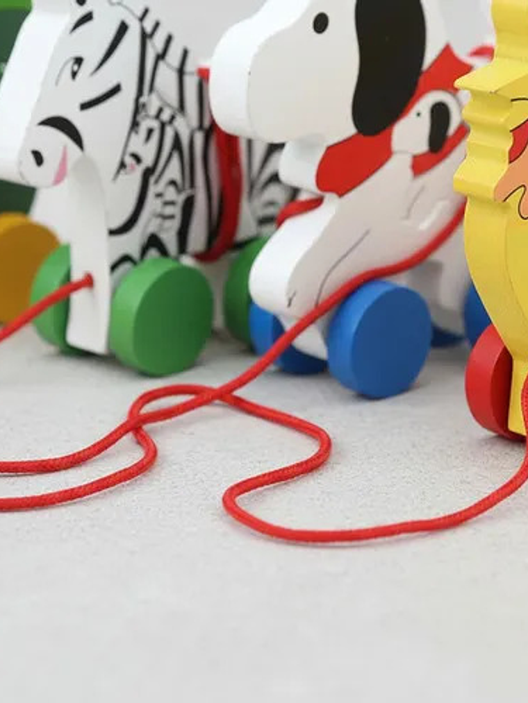 Juguete De Arrastre Diseñados Para La Estimulación Temprana 6