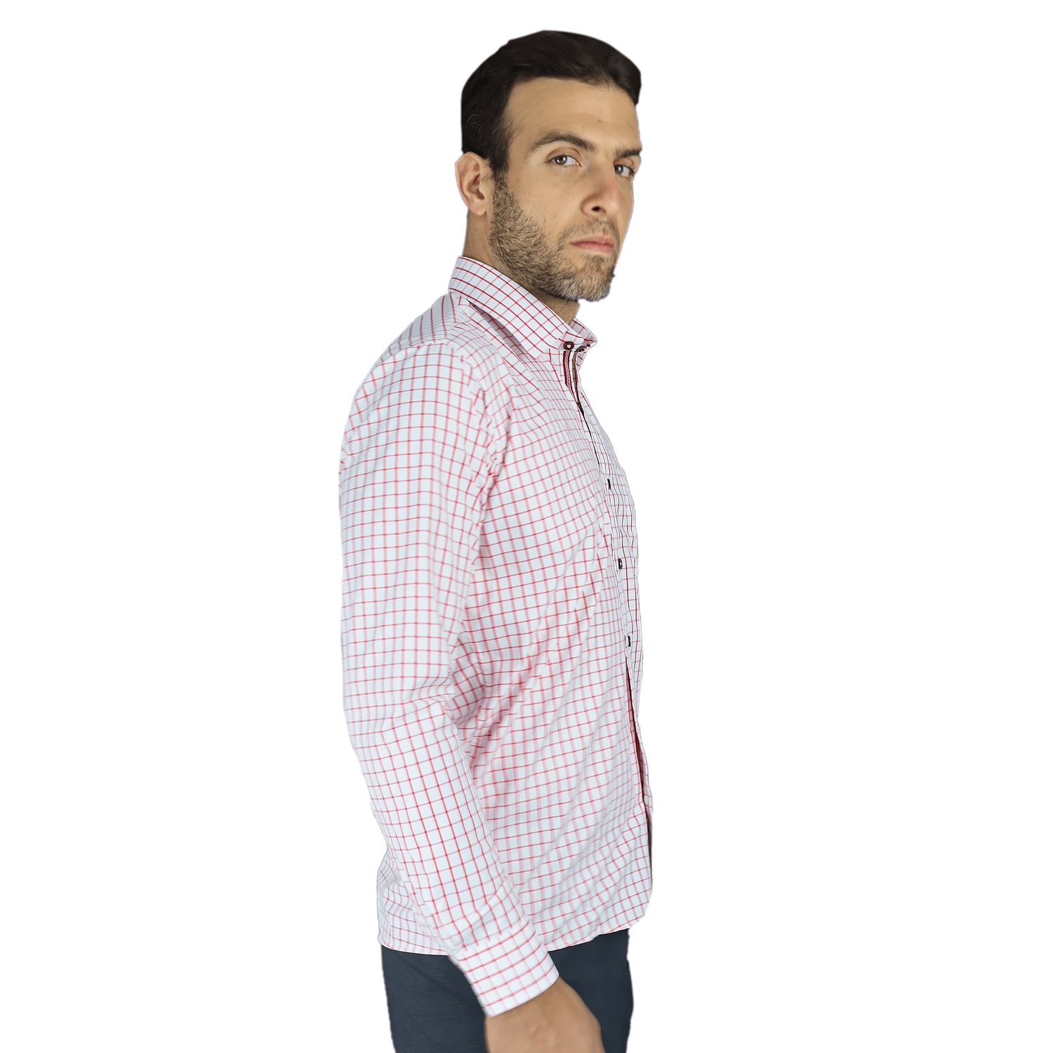 Camisa a Cuadros Pequeños (Varios Colores) 2