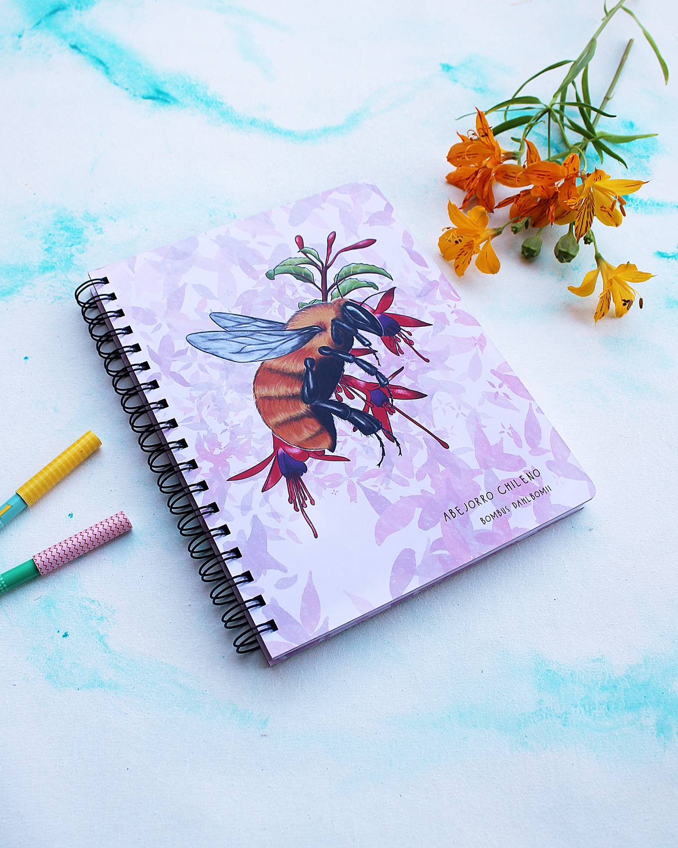 Cuaderno Abejorro 100 hjs