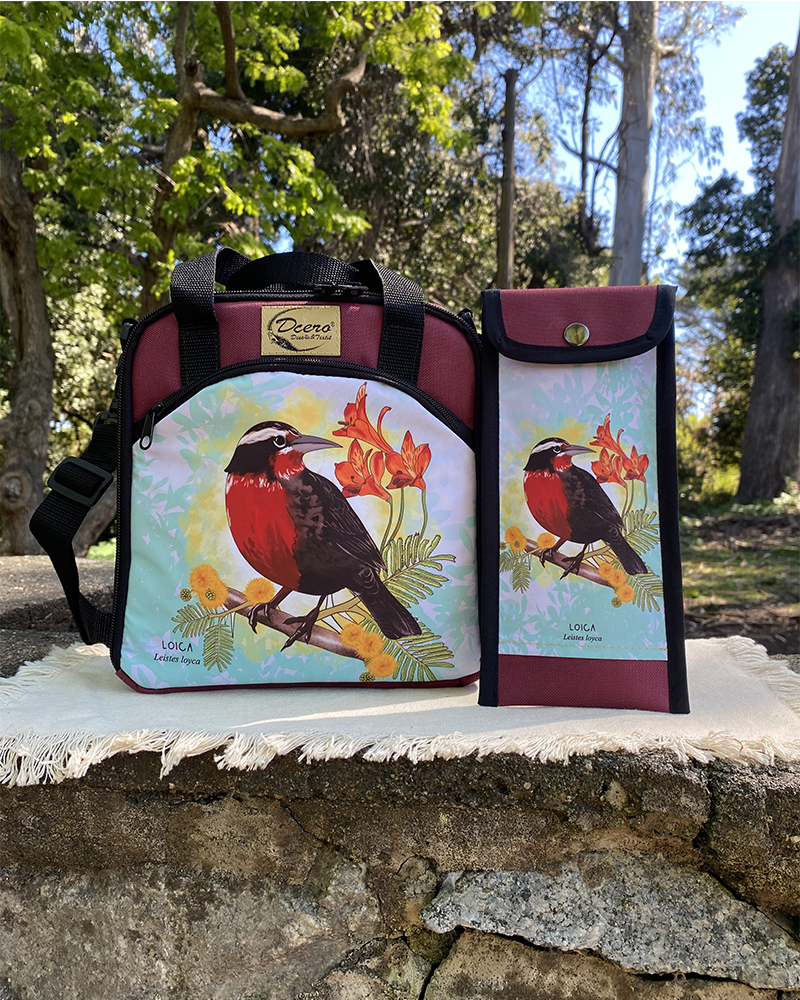 Set de lonchera, fiambrera y botella para niños, diseño infantil, color celeste