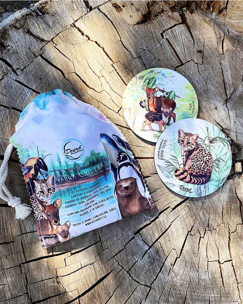 Set 6 Posavasos Madera Nativa