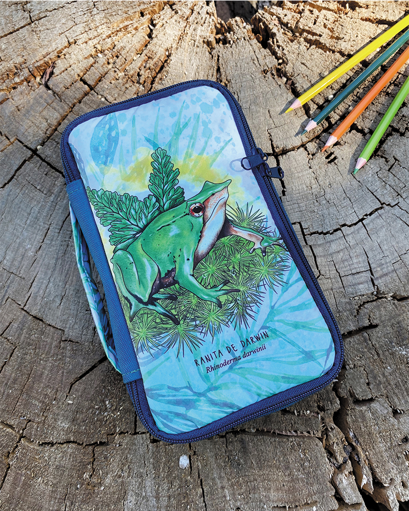 Estuche (M) Ranita de Darwin