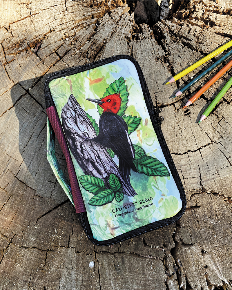 Estuche (M) Carpintero negro
