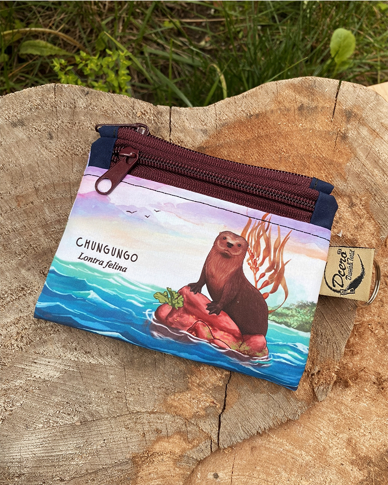 Monedero Chungungo