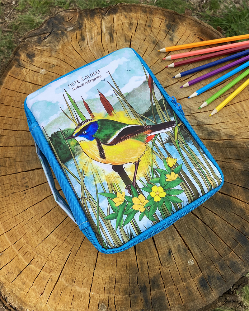 Estuche - Siete colores