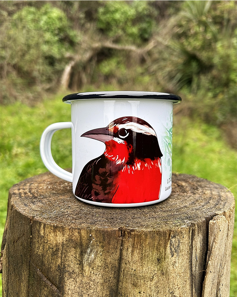 Enlozado Loica