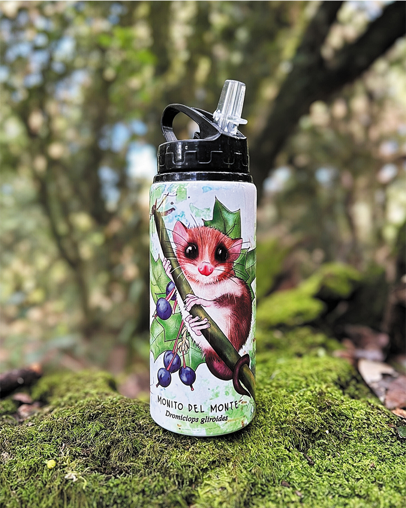 Botella 600ml Monito del monte