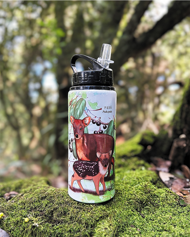 Botella 600ml Pudú
