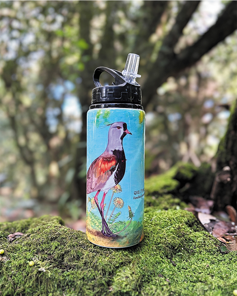 Botella 600ml Queltehue