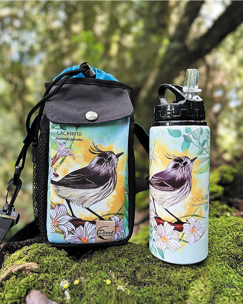 Pack bolso térmico + botella Cachudito