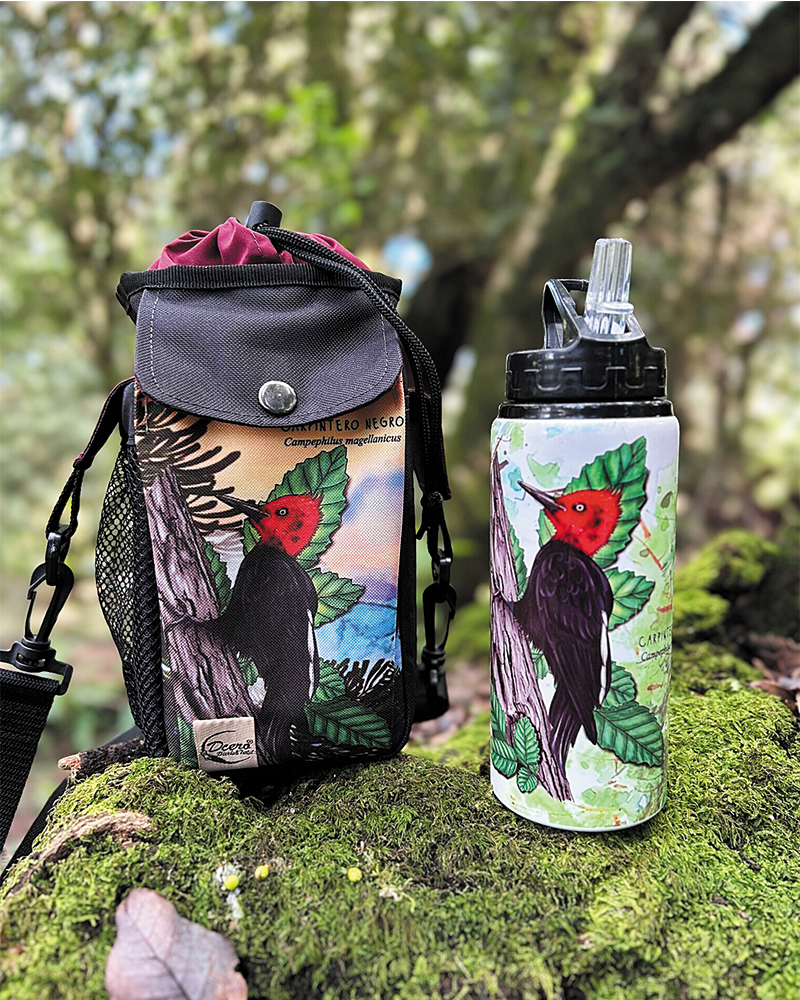 Pack bolso térmico + botella Carpintero negro