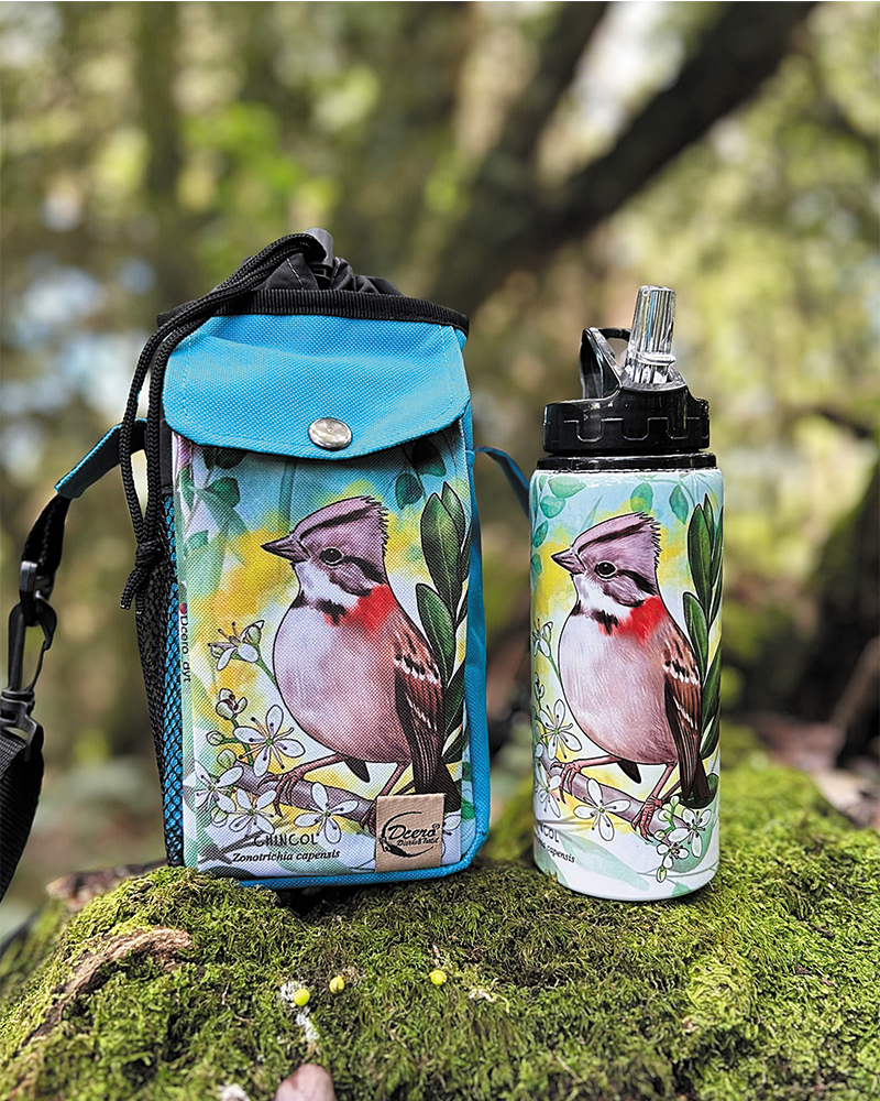 Pack bolso térmico + botella Chincol
