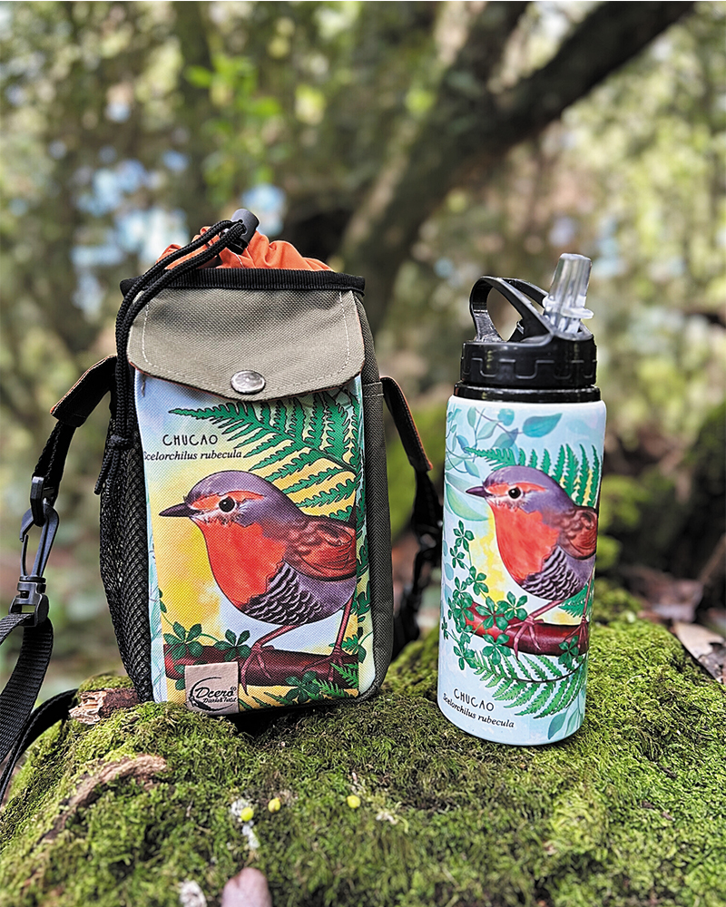 Pack bolso térmico + botella Chucao