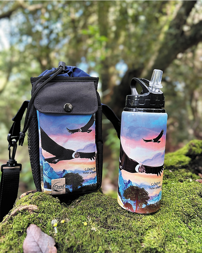 Pack bolso térmico + botella Cóndor
