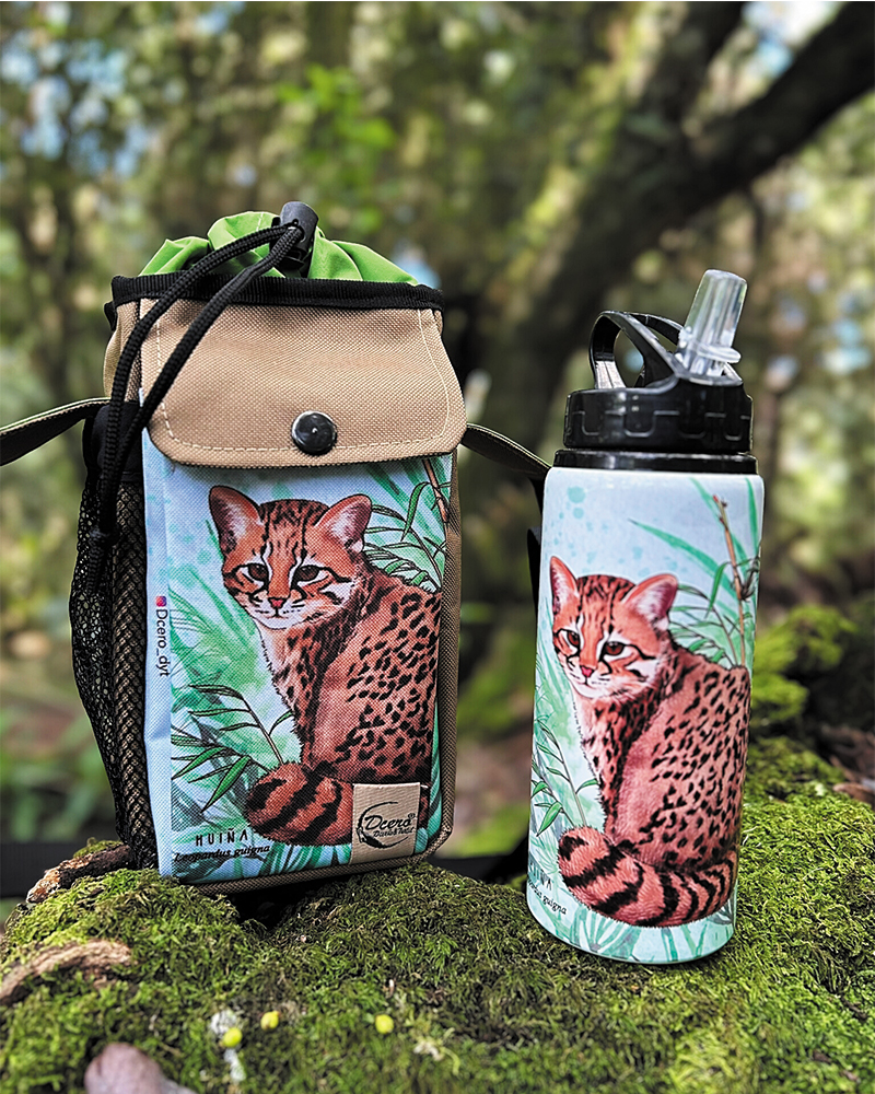 Pack bolso térmico + botella Huiña