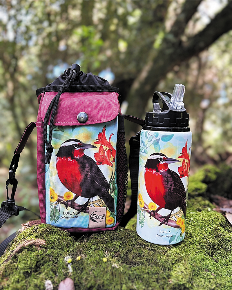 Pack bolso térmico + botella Loica