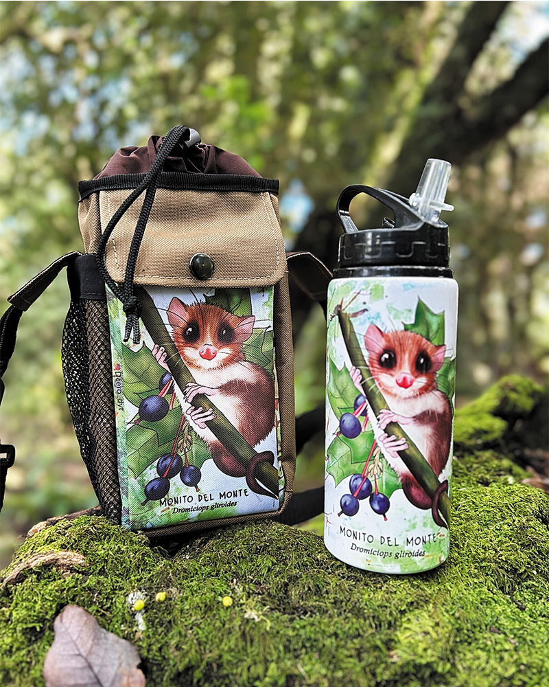 Pack bolso térmico + botella Monito del monte