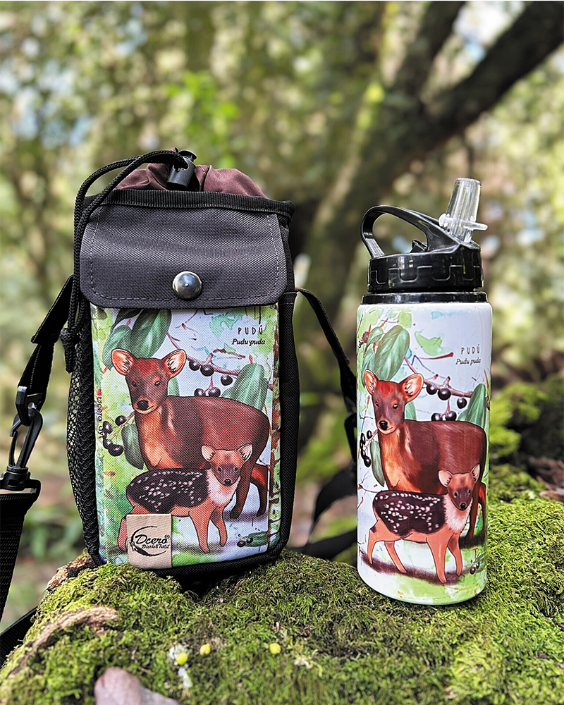 Pack bolso térmico + botella Pudú