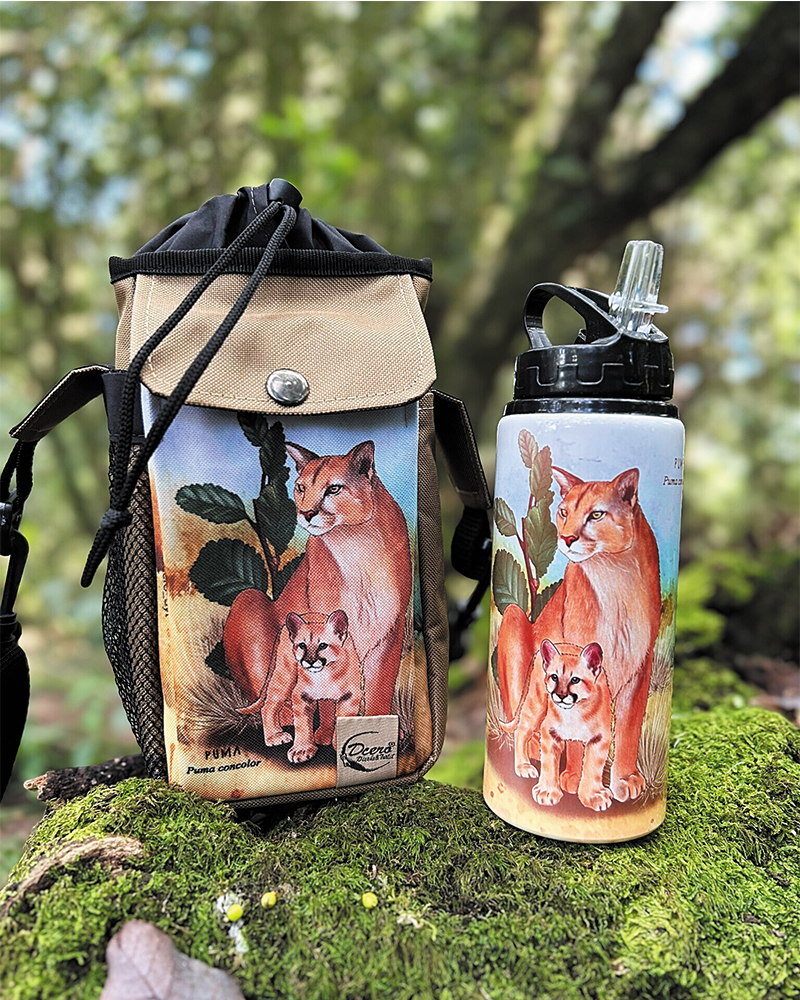 Pack bolso térmico + botella Puma