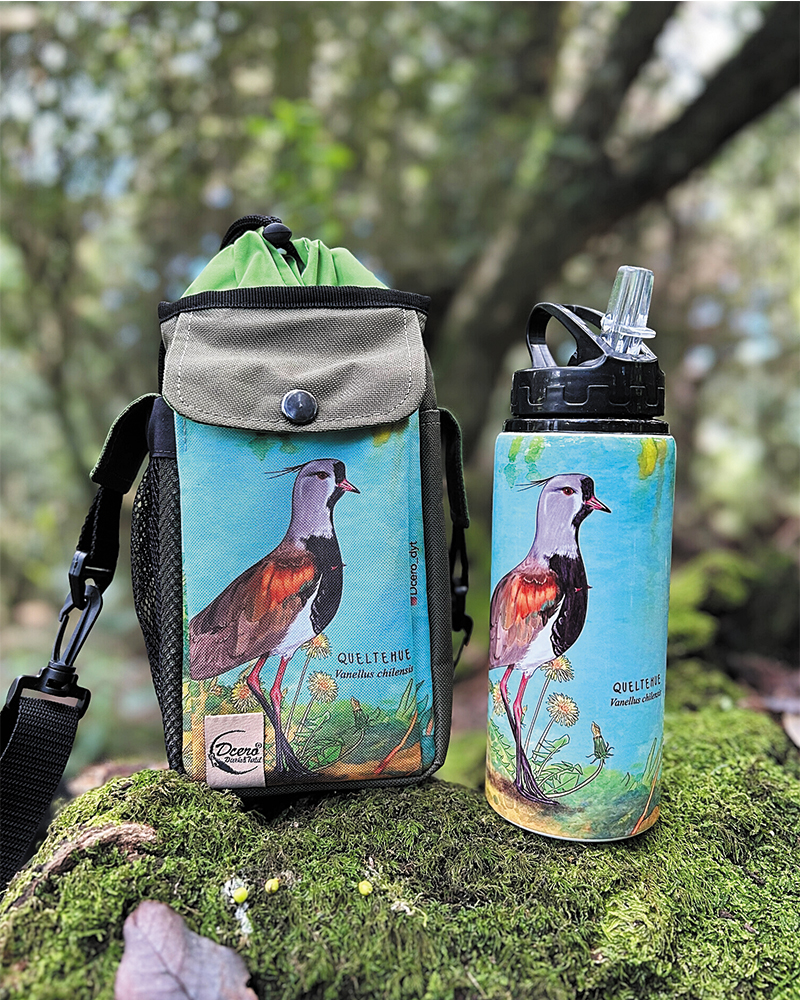 Pack bolso térmico + botella Queltehue