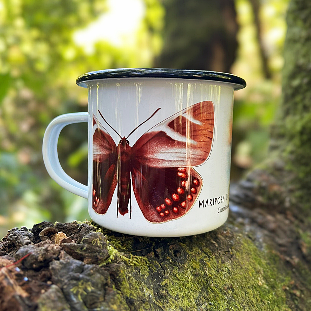 Enlozado Mariposa del Chagual 2