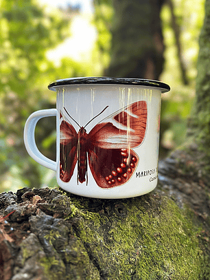 Enlozado Mariposa del Chagual