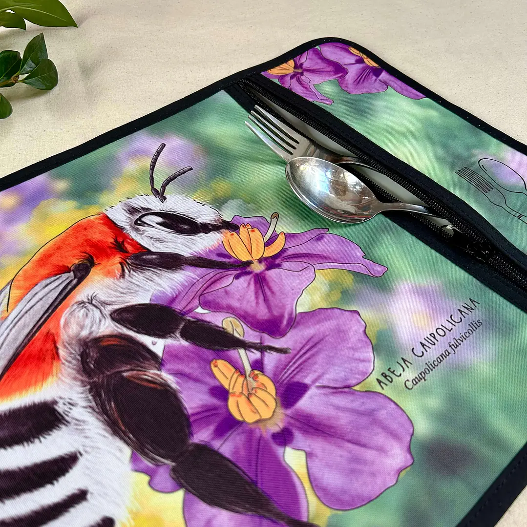 Individual Porta servicio Abeja caupolicana 2