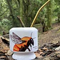 Mate Abejorro chileno - Miniatura 1