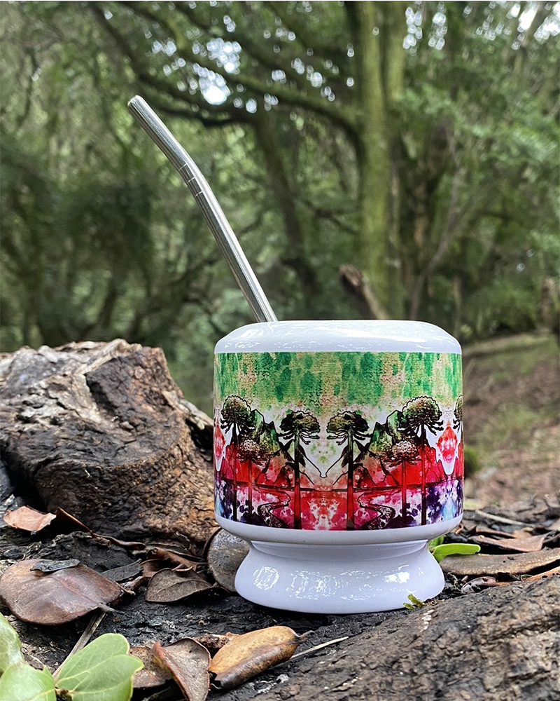Mate Araucarias
