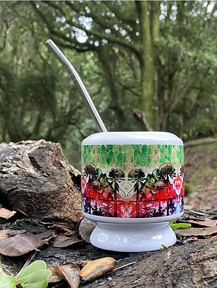Mate Araucarias