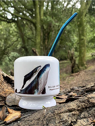 Mate Ballena jorobada