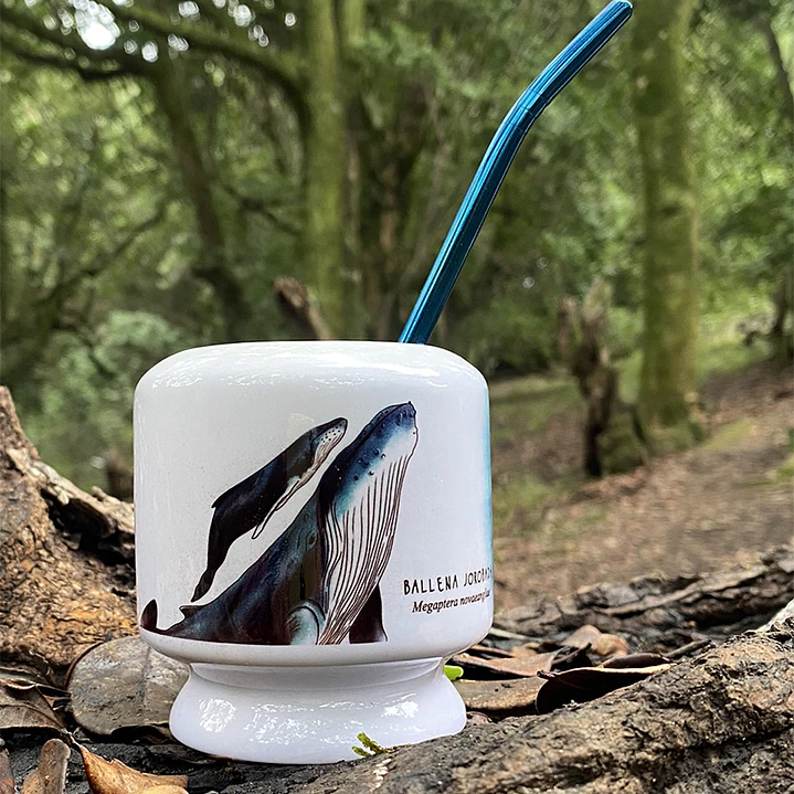 Mate Ballena jorobada 1