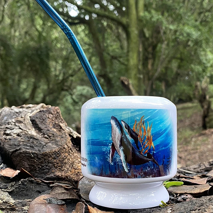 Mate Ballena jorobada 2