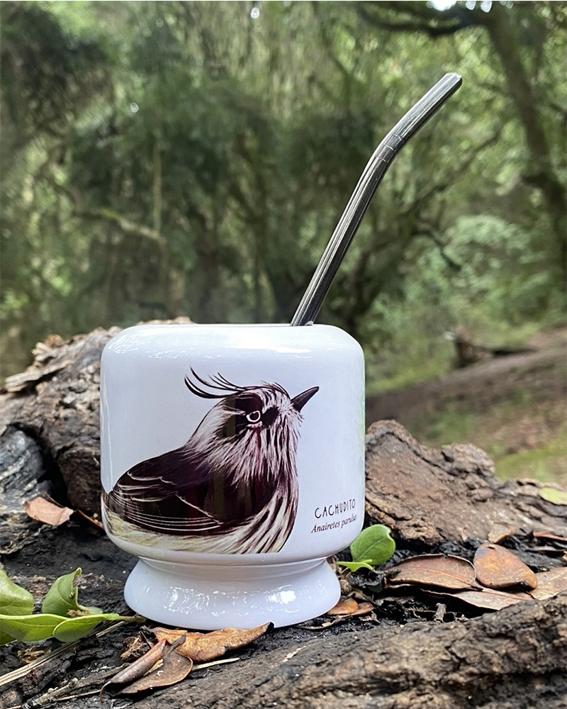 Mate Cachudito