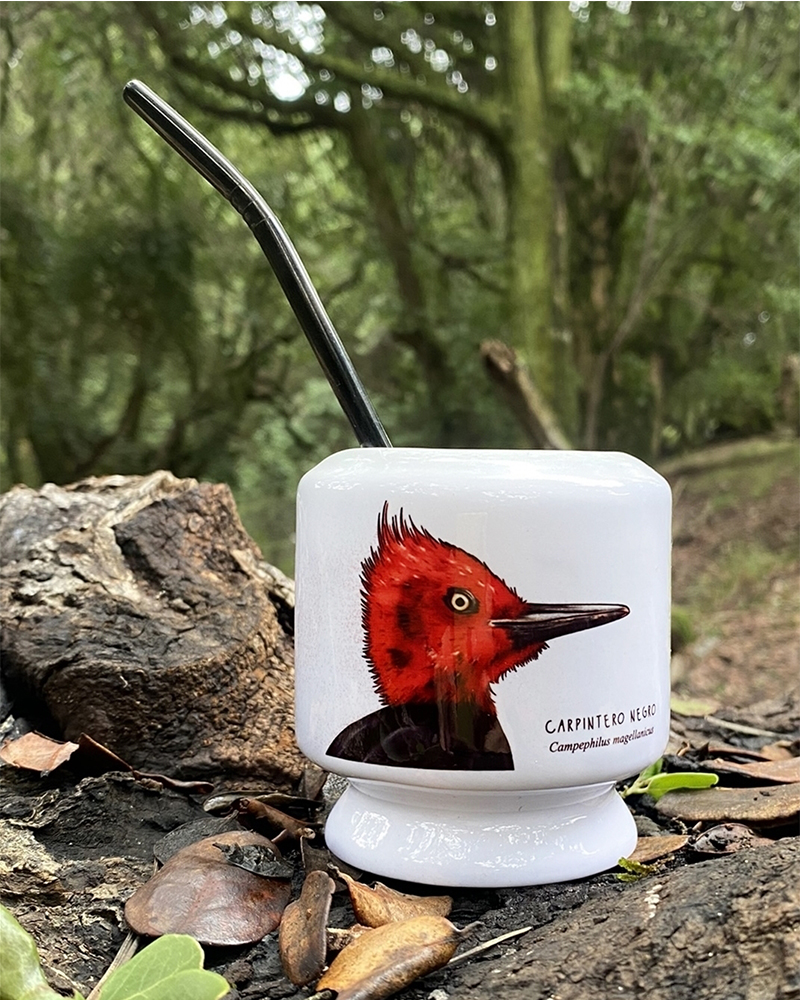 Mate Carpintero negro