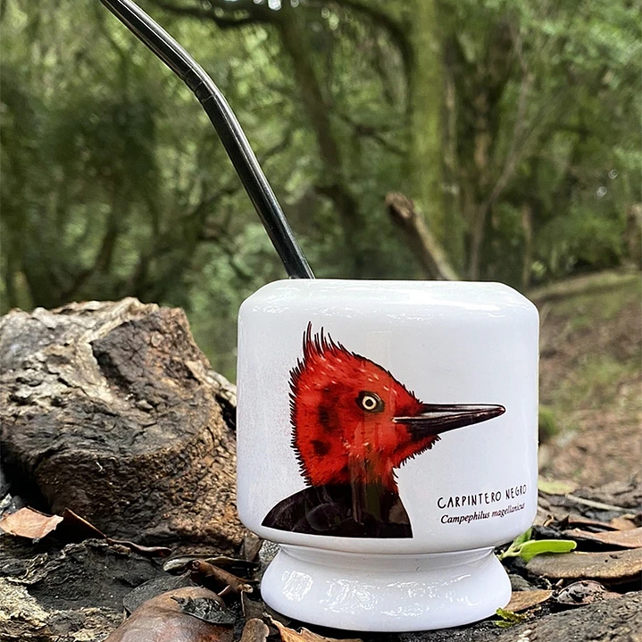 Mate Carpintero negro 1