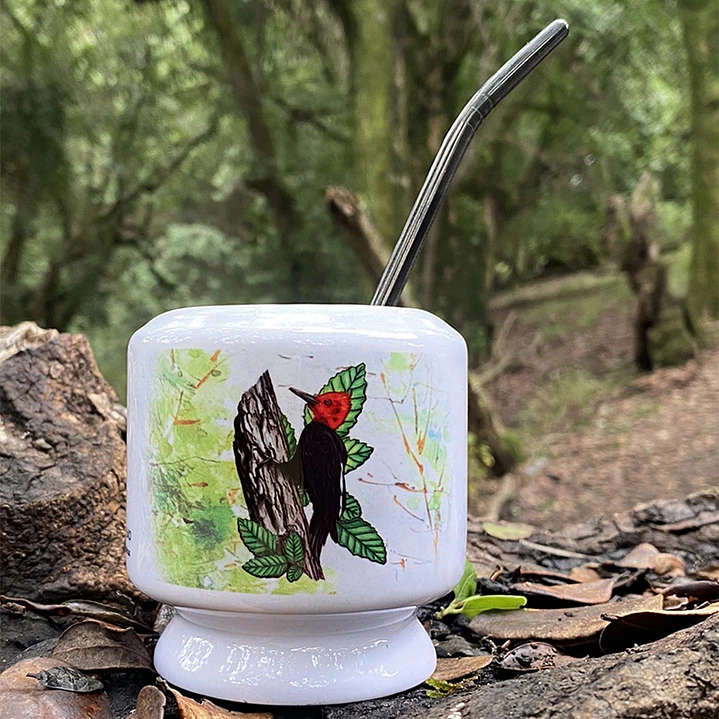 Mate Carpintero negro 2