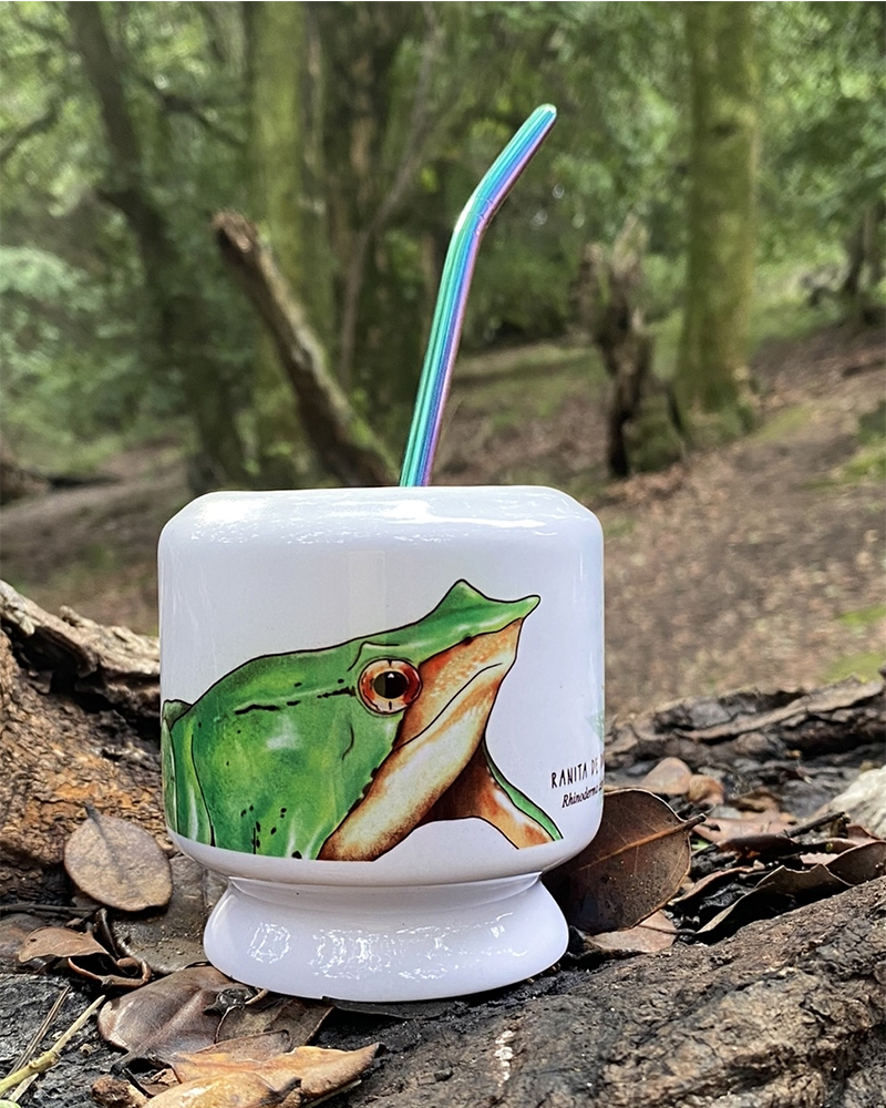 Mate Ranita de Darwin