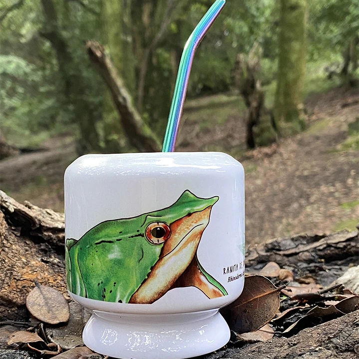 Mate Ranita de Darwin 1