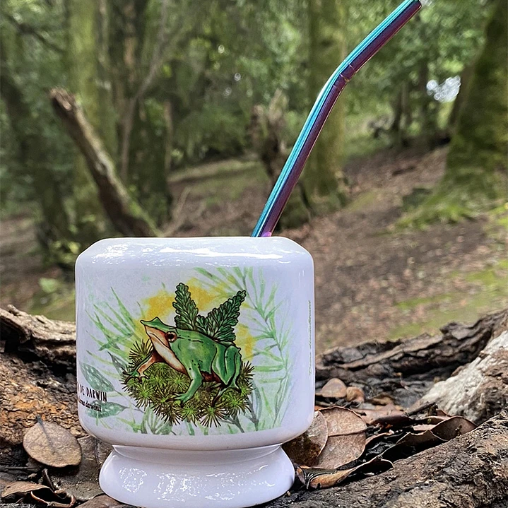 Mate Ranita de Darwin 2