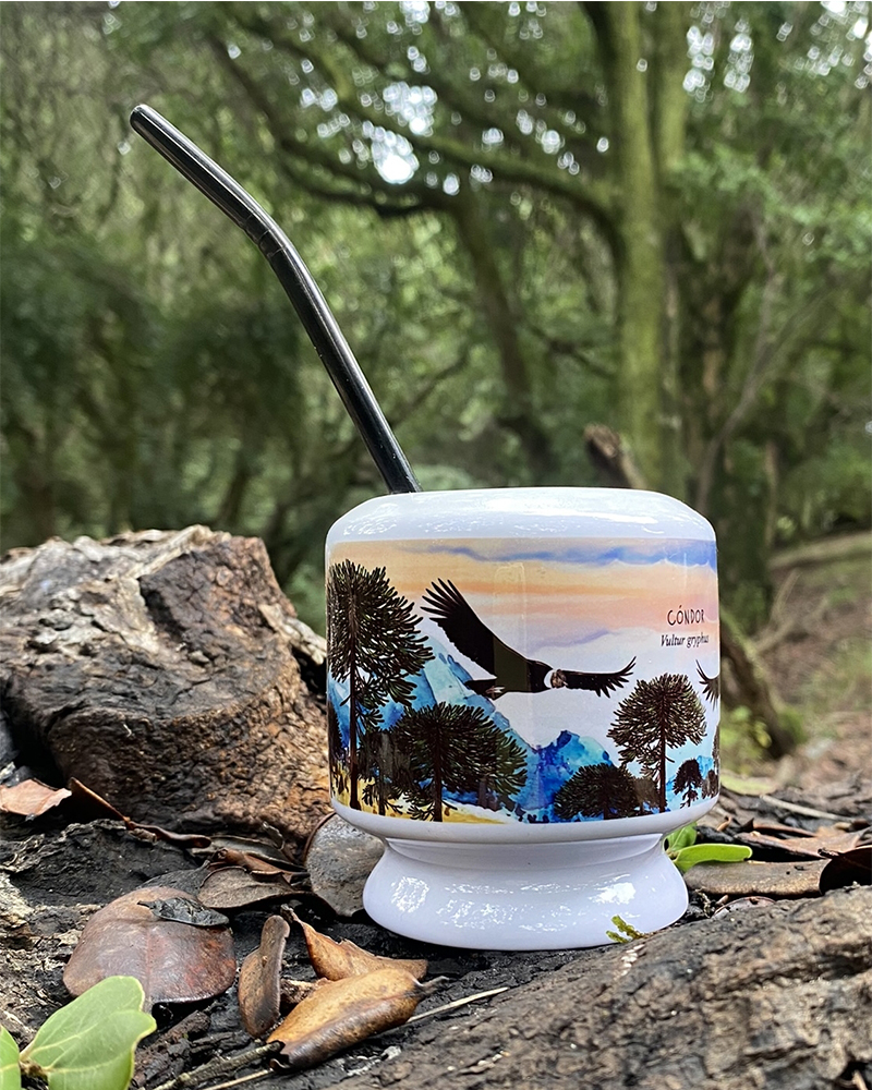 Mate Cóndor