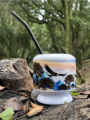 Mate Cóndor