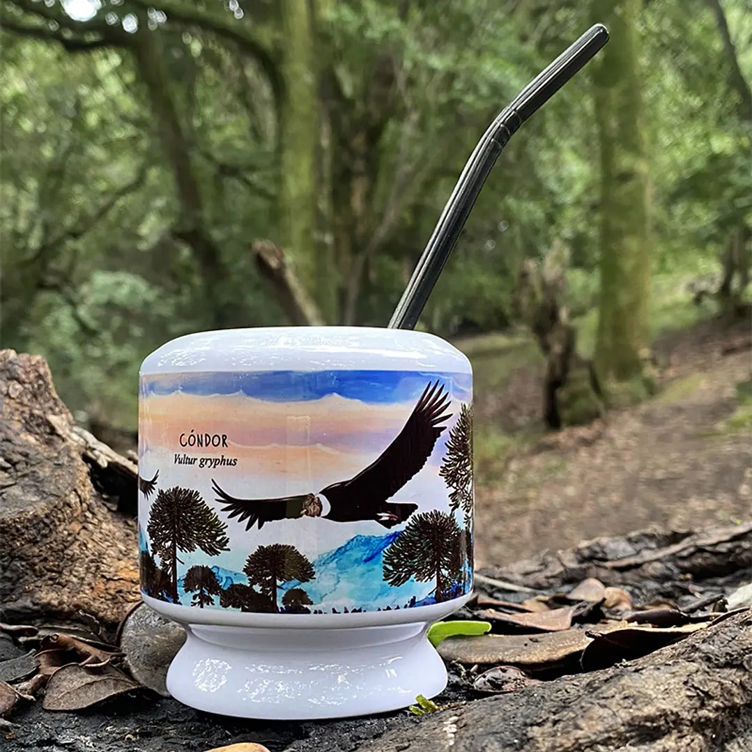 Mate Cóndor 2