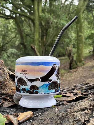 Mate Cóndor
