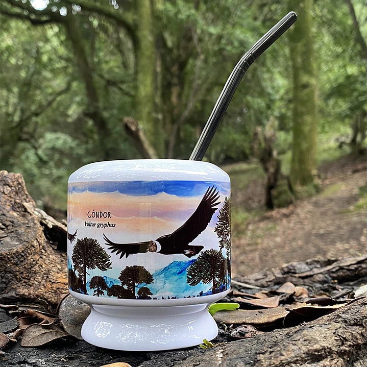 Mate Cóndor 2