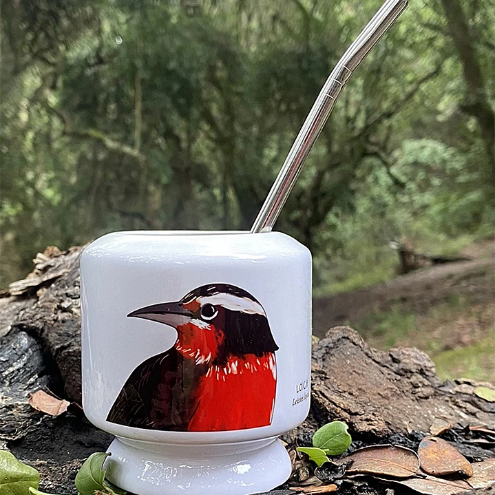 Mate Loica 1