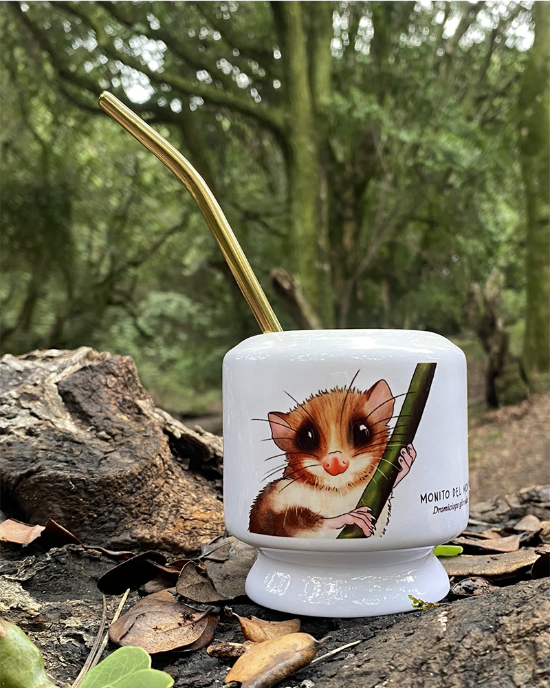 Mate Monito del monte