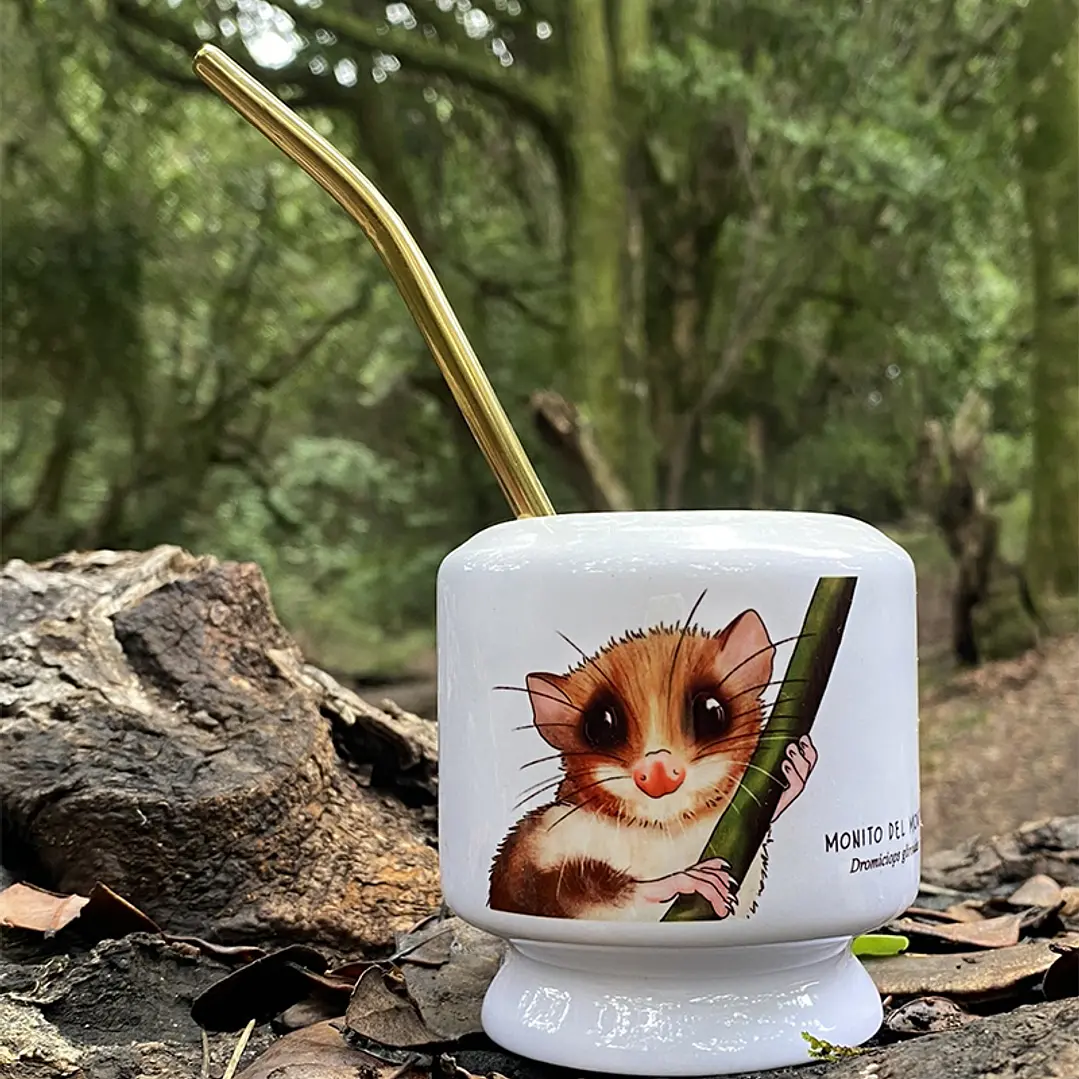 Mate Monito del monte 1