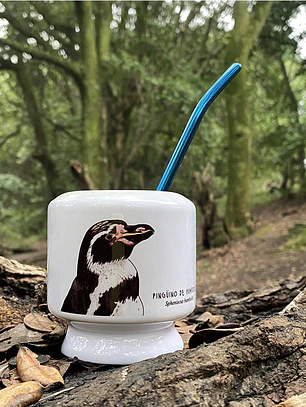 Mate Pingüino de Humboldt